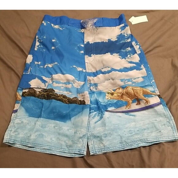 Joe Boxer Board Shorts Youth XL Beach Blue White Lined Swim Trunks Surf - Picture 1 of 10